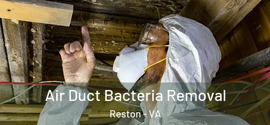  Air Duct Bacteria Removal Reston - VA