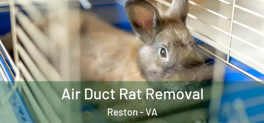  Air Duct Rat Removal Reston - VA