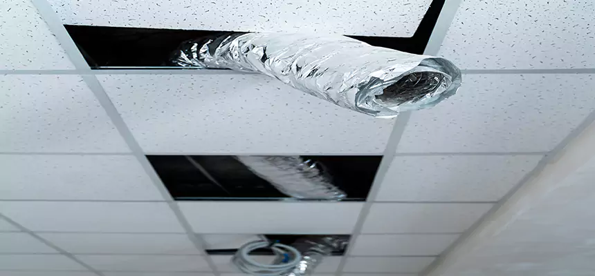 Affordable HVAC Sanitizing After Pest Removal in Reston