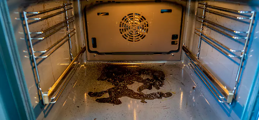 Our Dryer Vent Mold Cleaning Services in Reston, VA