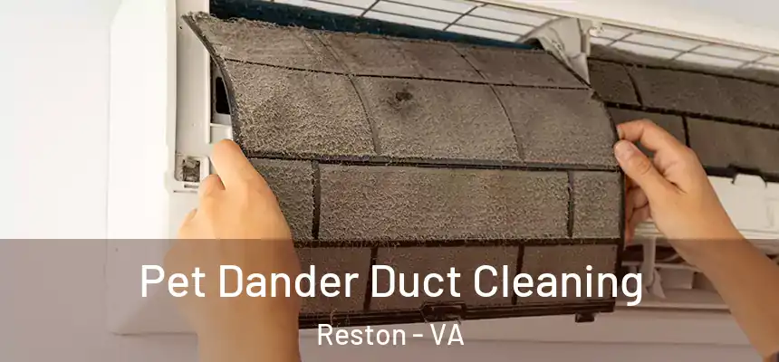  Pet Dander Duct Cleaning Reston - VA