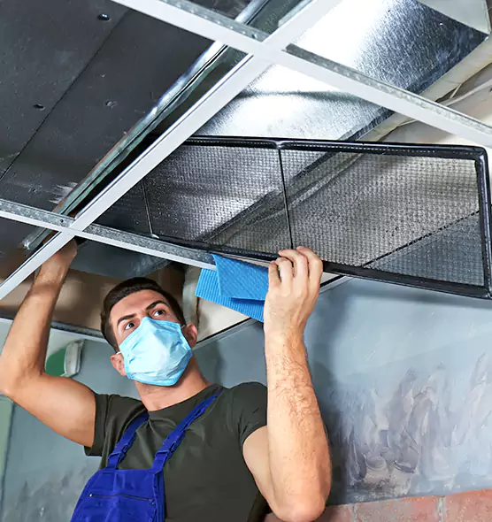 Professional Air Duct Pollen Cleaning in Reston, VA