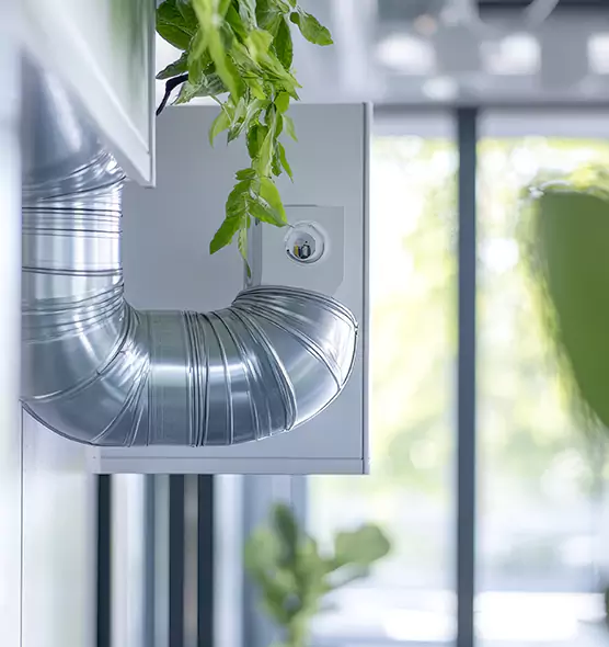 Professional Eco-Safe Dryer Vent Cleaning in Reston, VA