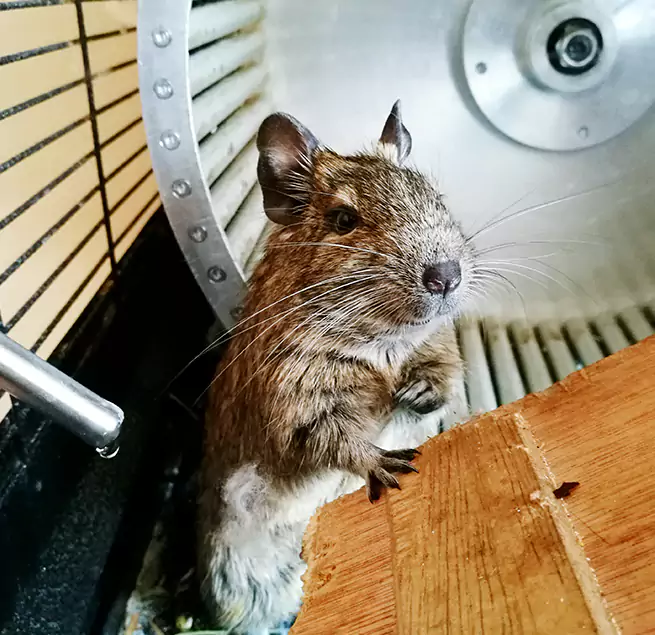 Why Homeowners & Businesses Trust Us Reston, VA?