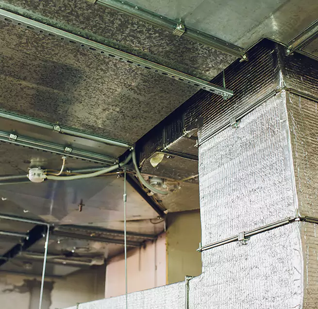 Why Homeowners & Businesses Trust Us in Reston, VA?